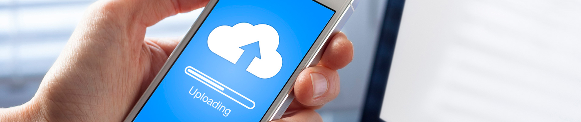 డౌన్‌లోడ్